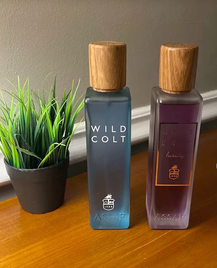 Assaf Wild Cold + Gris Erik