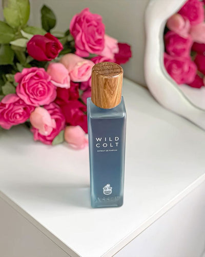 Assaf Wild Cold + Gris Erik